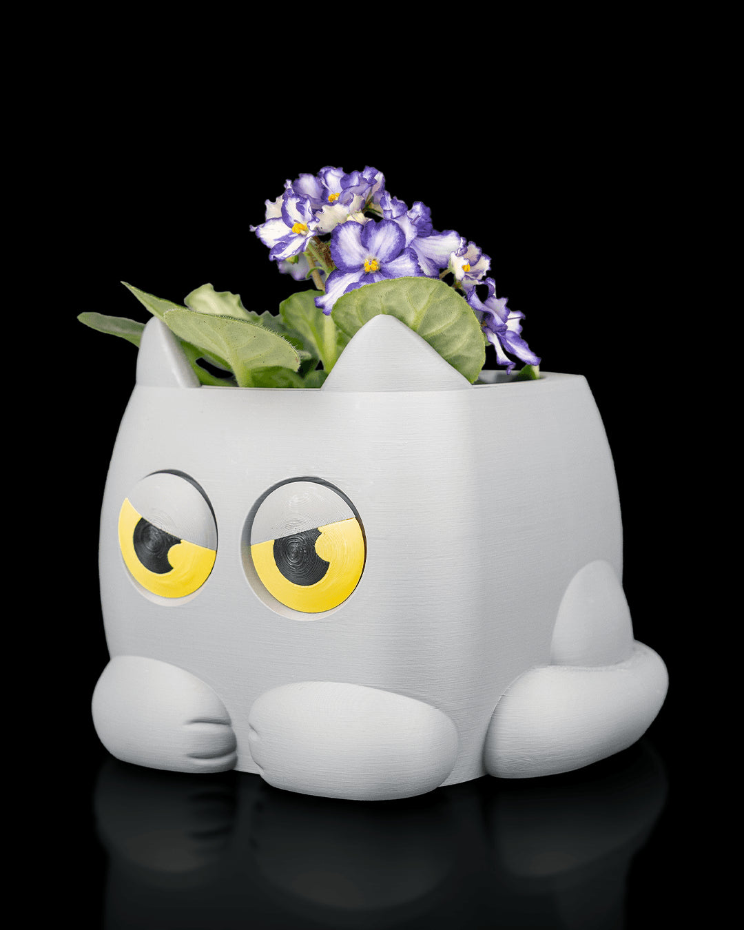 Grumpy Kitty - Planter